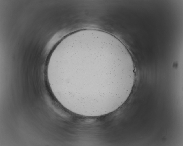 X0000115770151200912241757
