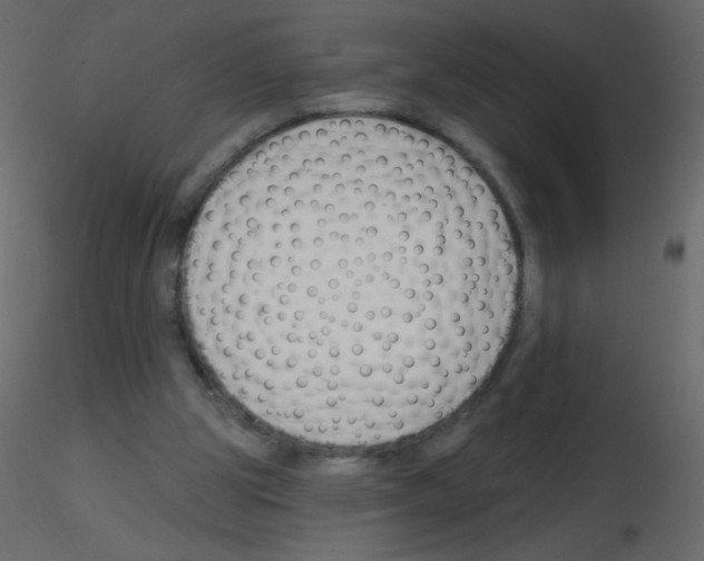 X0000115770153200912241757