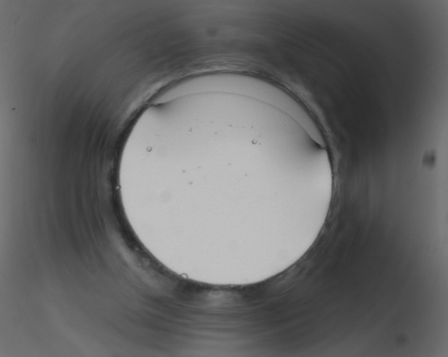 X0000115770154200912241757