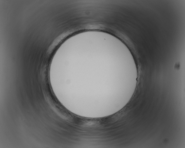 X0000115770155200912241757