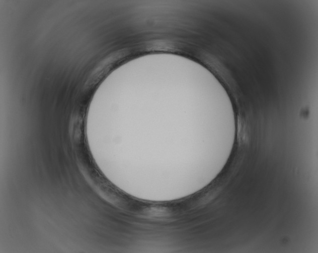 X0000115770157200912241757