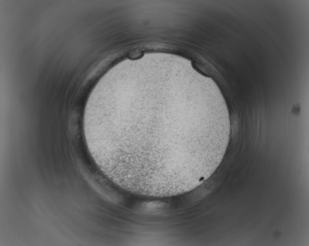X0000115770158200912241757