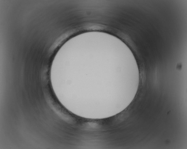 X0000115770159200912241757