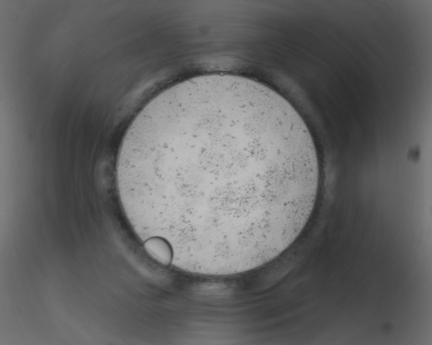 X0000115770161200912241757