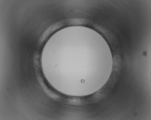 X0000115770162200912241757