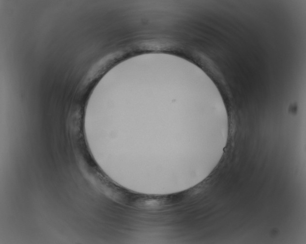 X0000115770163200912241757