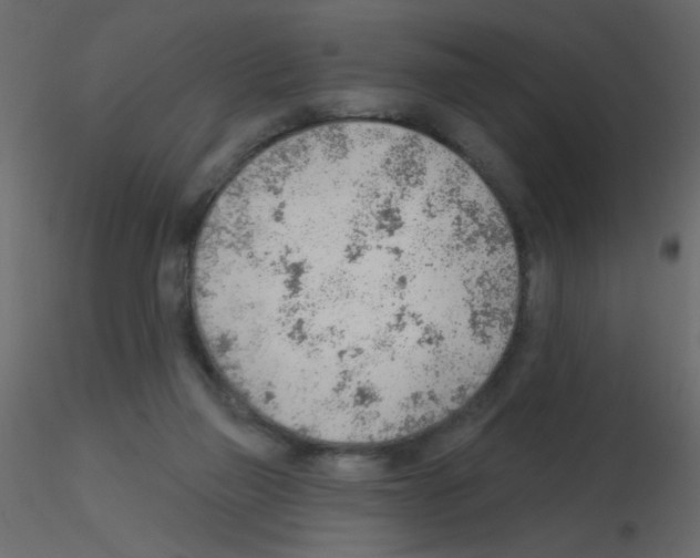 X0000115770165200912241757