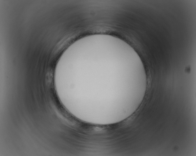 X0000115770166200912241757