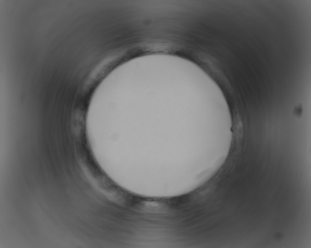X0000115770167200912241757