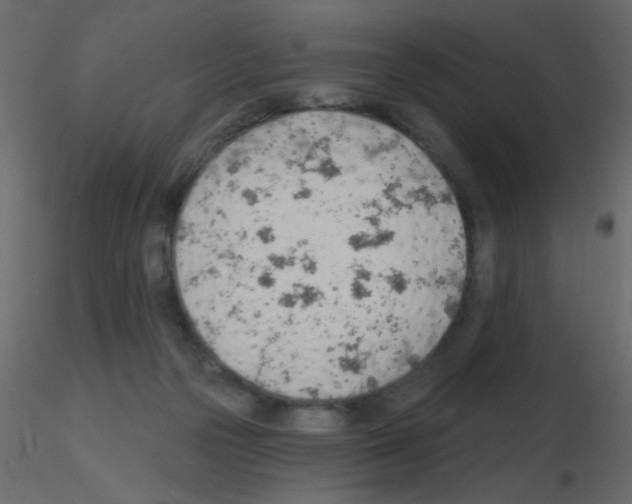 X0000115770169200912241757