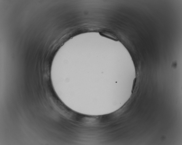 X0000115770170200912241757