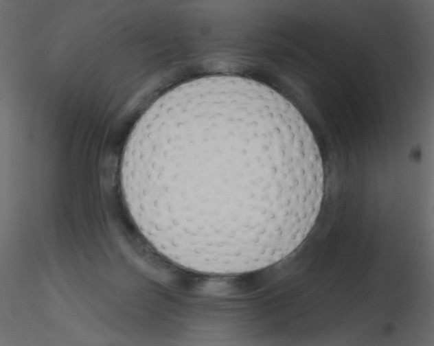 X0000115770171200912241757
