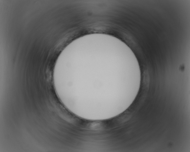 X0000115770173200912241757
