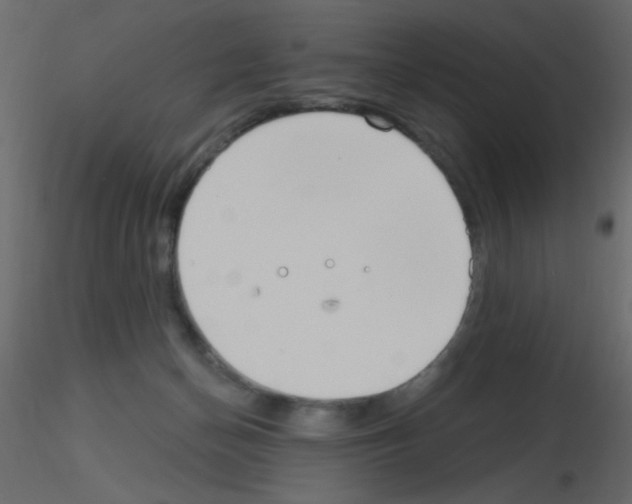 X0000115770174200912241757