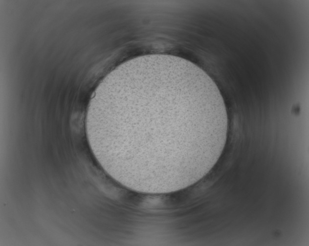 X0000115770177200912241757