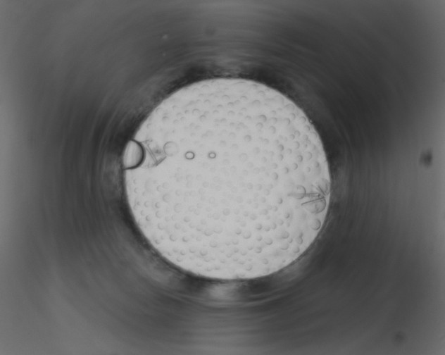 X0000115770178200912241757
