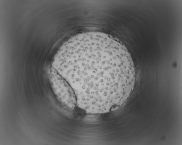 X0000115770179200912241757