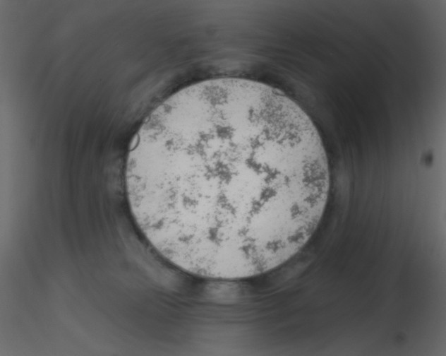 X0000115770181200912241757