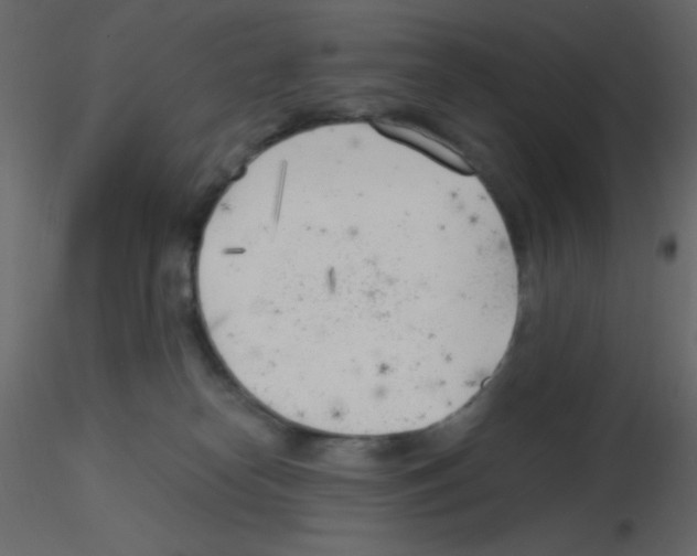 X0000115770182200912241757