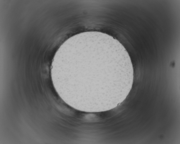 X0000115770183200912241757