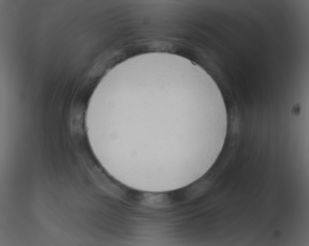 X0000115770185200912241757