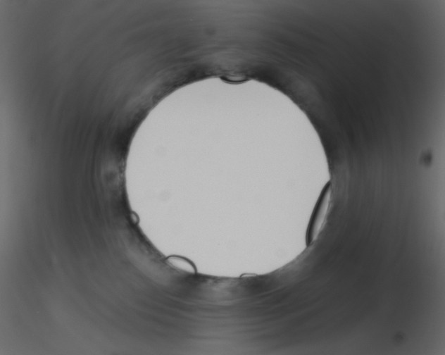X0000115770186200912241757