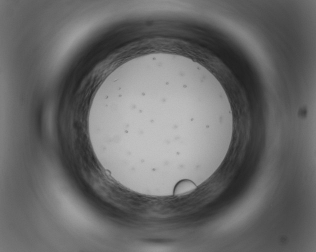 X0000115770189200912241757