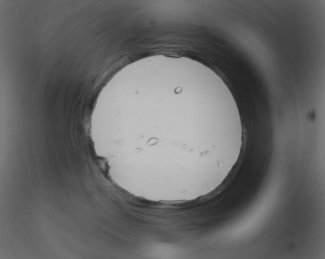 X0000115770190200912241757