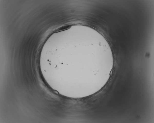 X0000115770193200912241757