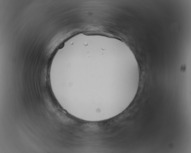 X0000115770194200912241757