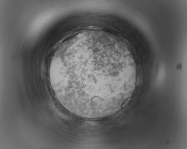 X0000115770195200912241757