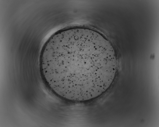 X0000115770196200912241757