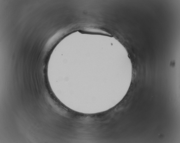 X0000115770197200912241757