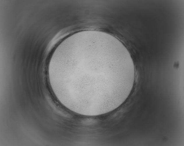 X0000115770198200912241757