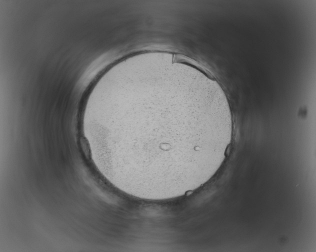 X0000115770199200912241757
