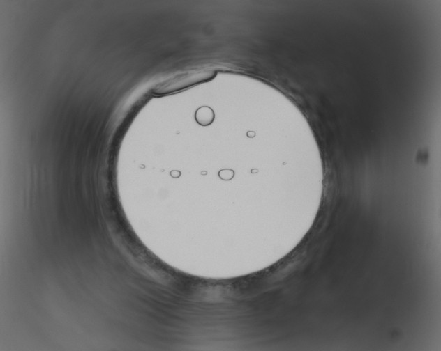 X0000115770200200912241757