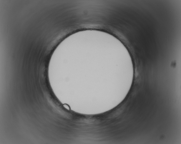 X0000115770201200912241757