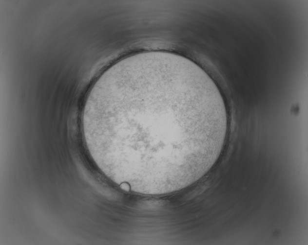 X0000115770202200912241757