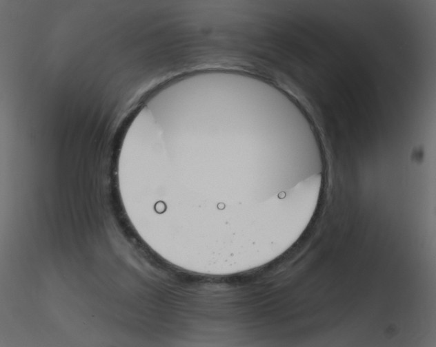 X0000115770203200912241757
