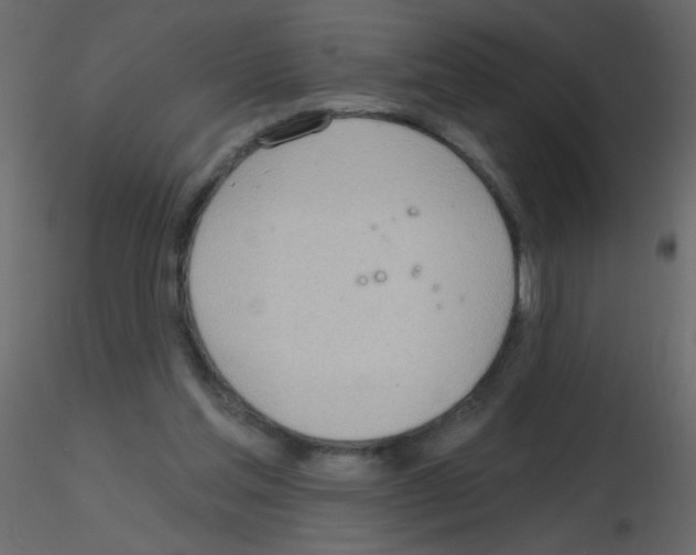 X0000115770205200912241757