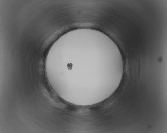 X0000115770206200912241757