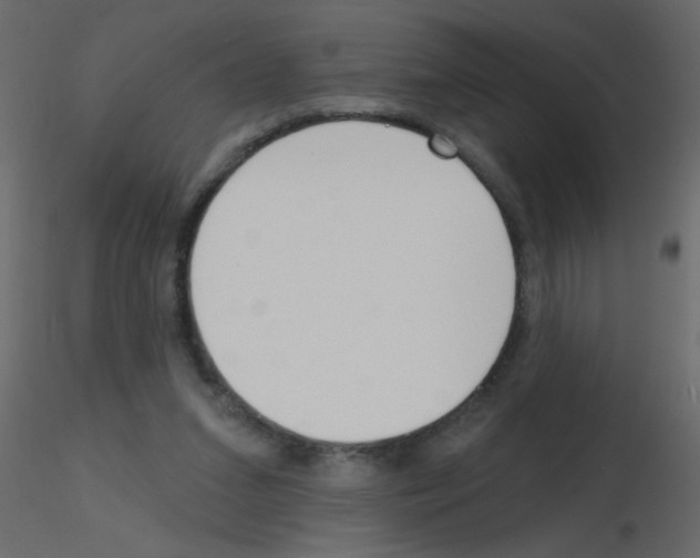 X0000115770207200912241757