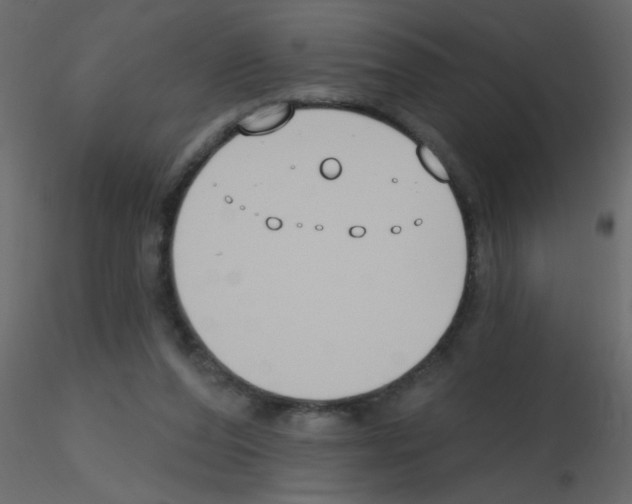 X0000115770208200912241757