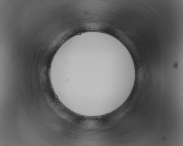 X0000115770209200912241757