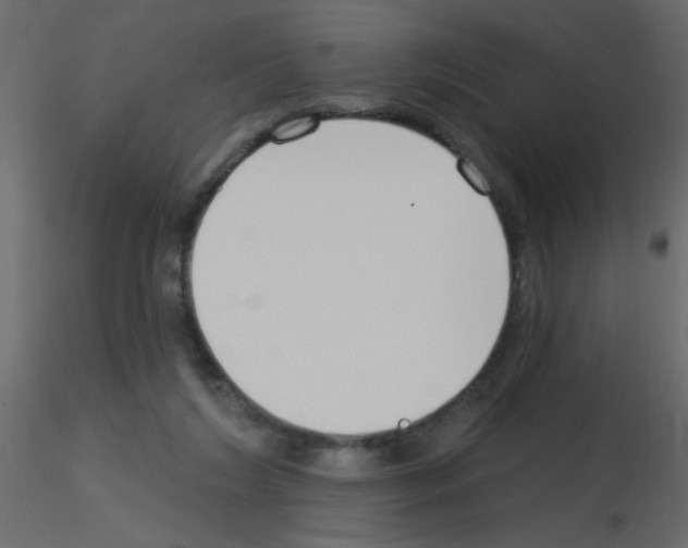 X0000115770212200912241756
