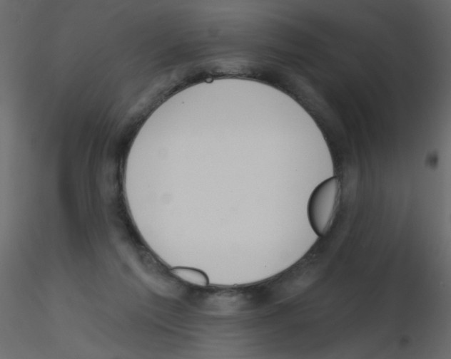 X0000115770213200912241756
