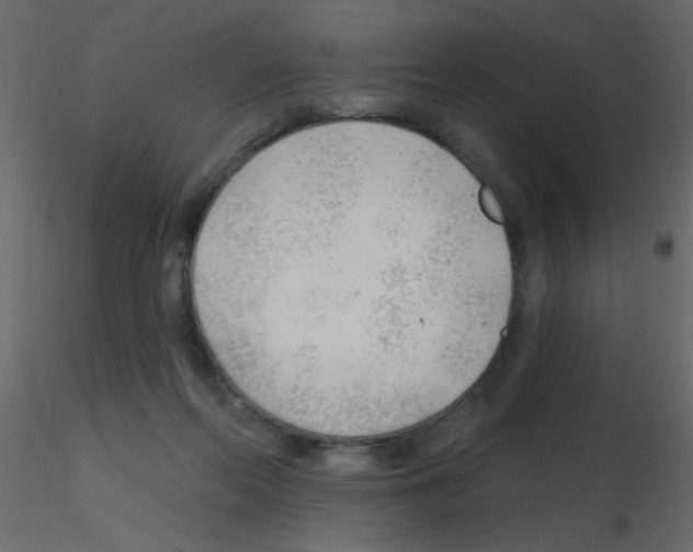 X0000115770214200912241756