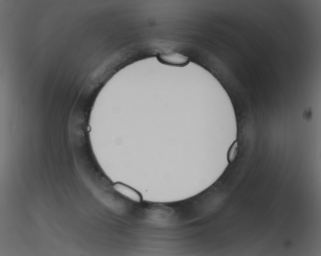 X0000115770215200912241756