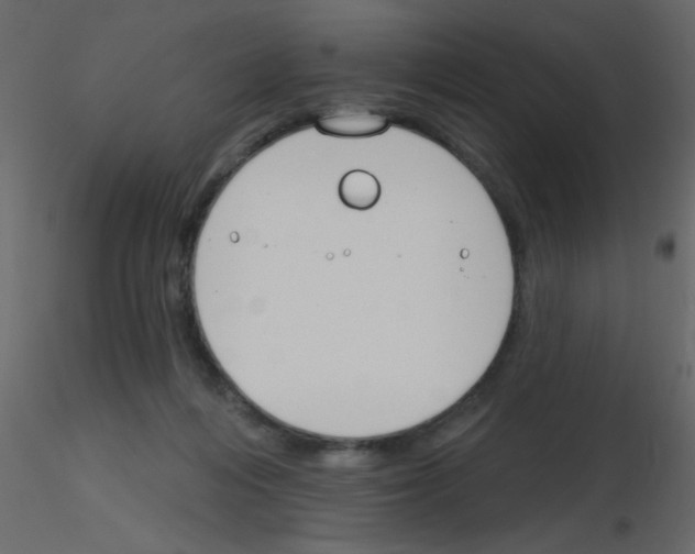 X0000115770216200912241756