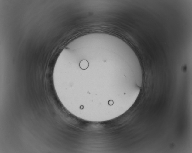 X0000115770217200912241756